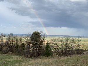 Western Gateway Outfitters - Rainbow