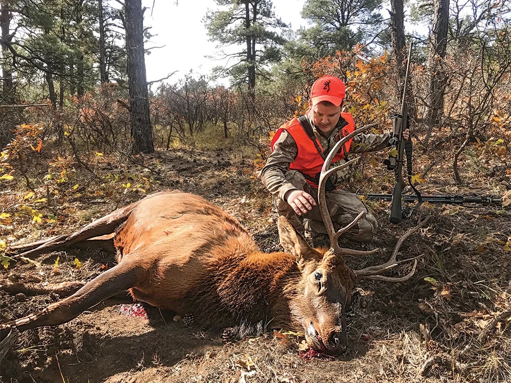 The author punched his elk tag on the afternoon of the last day. Colin Kearns