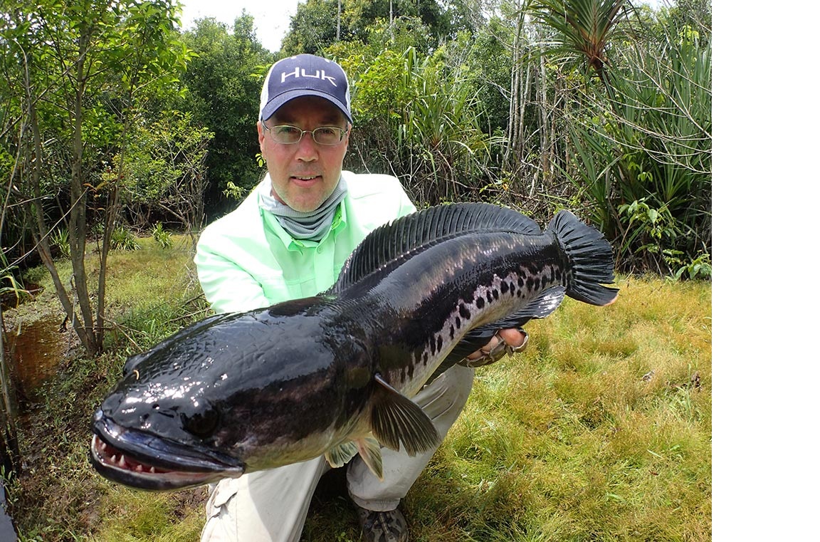These Are 10 of the Nastiest Freshwater Fish on the Planet - Go Gear Direct